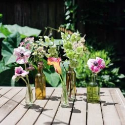 Misc. $10 Or Less Mini Bottle Bud Vase - Clear