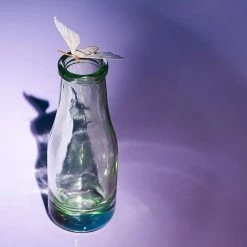 Misc. $10 Or Less Mini Bottle Bud Vase - Clear