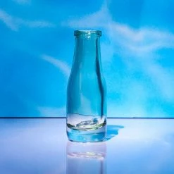 Misc. $10 Or Less Mini Bottle Bud Vase - Clear