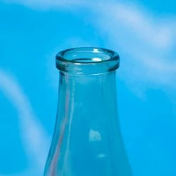 Misc. $10 Or Less Mini Bottle Bud Vase - Clear