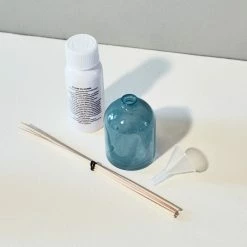 Paddywax $50 OR LESS Mini Reed Diffuser - Wild Fig