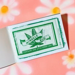 Simon And Schuster Miracle Bud Booklet $10 Or Less