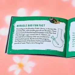 Simon And Schuster Miracle Bud Booklet $10 Or Less