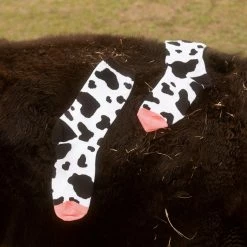Socksmith $10 Or Less Moo Cow Print - Women's Novelty Socks