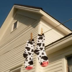 Socksmith $10 Or Less Moo Cow Print - Women's Novelty Socks