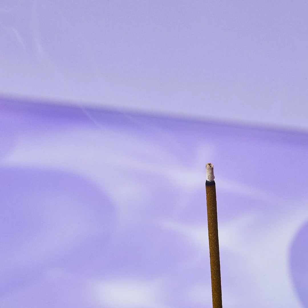 Deals 😍 Nippon Kodo $10 Or Less Morning Star Japanese Incense 200 Sticks - 🩴 Sandalwood 🛒 8 Nippon Kodo $10 Or Less Morning Star Japanese Incense 200 Sticks - Sandalwood