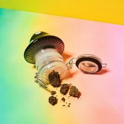 Misc. Sale Mushroom Glass Stash Jar - Black