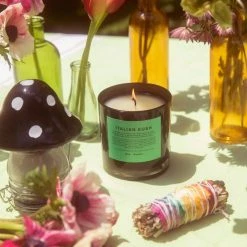 Misc. Sale Mushroom Glass Stash Jar - Black