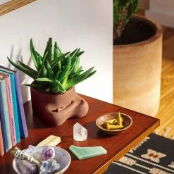 Doiy $50 OR LESS Namaste Plant Pot