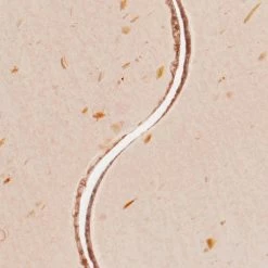 Hot Sale ๐ Patchology Aromatherapy Eye Gels - Happy Place ๐ 9 Patchology Aromatherapy Eye Gels - Happy Place