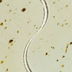 Patchology Aromatherapy Eye Gels - Perk Up $10 Or Less