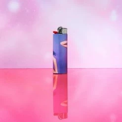 Friends NYC $10 Or Less Pop Star Lighter - Cher