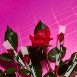 Promo 👏 Misc. Rose Cones - 8 Pack ⌛ 10 Misc. Rose Cones - 8 Pack