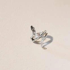 Misc. Silver Plated Snake Ring $10 Or Less