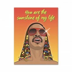 The Found Stevie Wonder Sunshine Greeting Card $10 Or Less