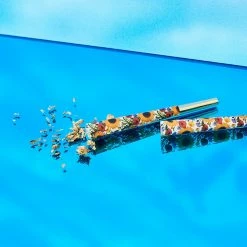 Misc. Sunflower Cones - 8 Pack