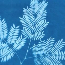 Brand new โ Misc. Sunprint Kit - Large $50 OR LESS ๐งจ 17 Misc. Sunprint Kit - Large $50 OR LESS