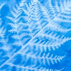 Brand new โ Misc. Sunprint Kit - Large $50 OR LESS ๐งจ 14 Misc. Sunprint Kit - Large $50 OR LESS