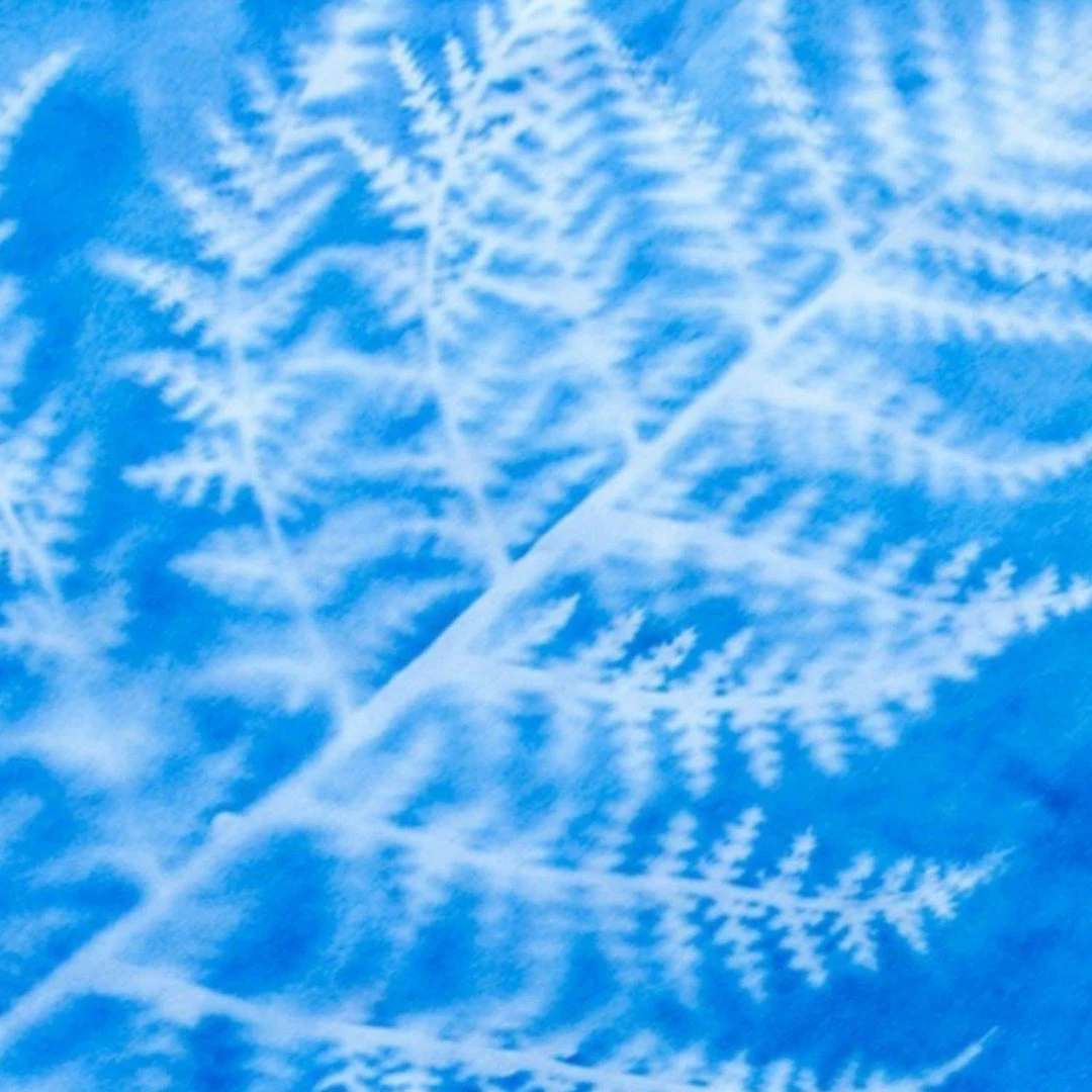 Brand new โ Misc. Sunprint Kit - Large $50 OR LESS ๐งจ 7 Misc. Sunprint Kit - Large $50 OR LESS