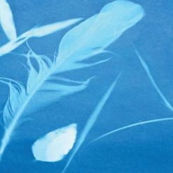 Misc. Sunprint Kit - Small