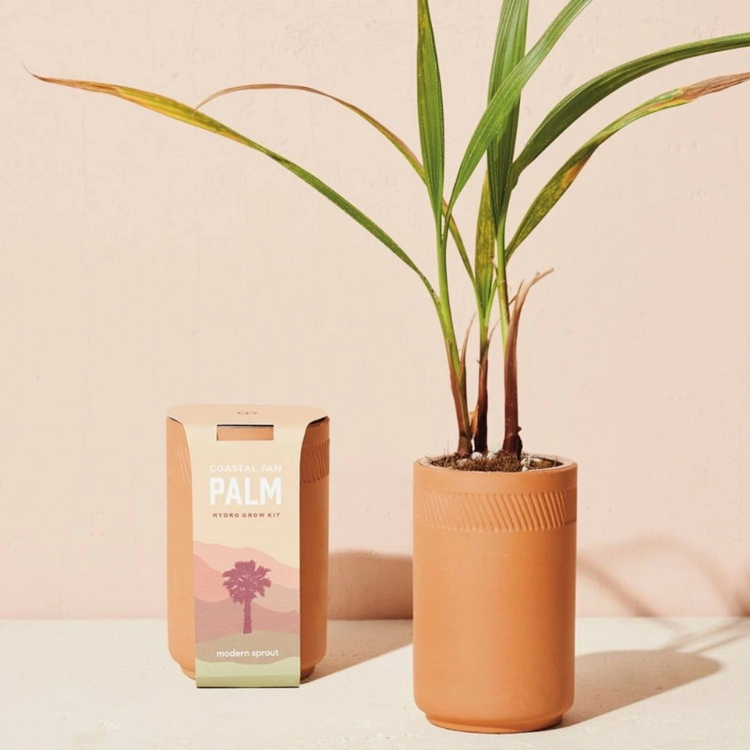 Discount 😍 Modern Sprout Terracotta Grow Kit - Palm Sale 🌟 4 Modern Sprout Terracotta Grow Kit - Palm Sale