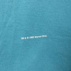 Vintage 90s Colorblock Hoodie - Looney Tunes Wile E. Coyote & Road Runner