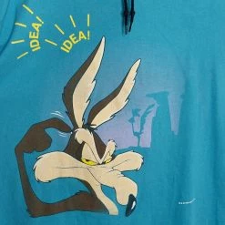 Vintage 90s Colorblock Hoodie - Looney Tunes Wile E. Coyote & Road Runner