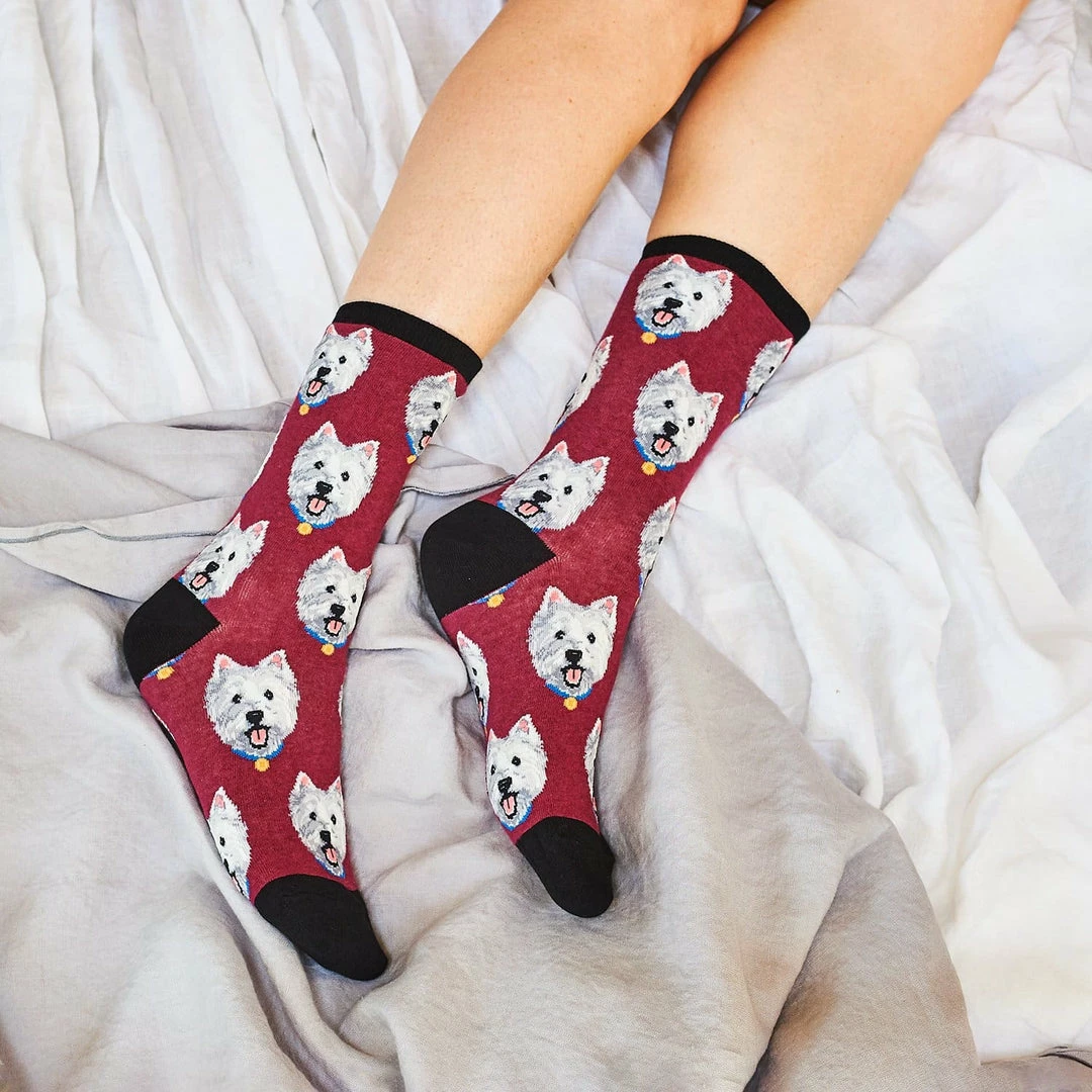 Top 10 ❤️ Socksmith $10 Or Less Westies Berry - 👩 Women's Novelty 🧦 Socks 🧨 5 Socksmith $10 Or Less Westies Berry - Women's Novelty Socks