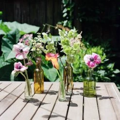 Misc. $10 Or Less Wide Glass Bottle Bud Vase