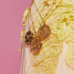 Best Pirce β¨ Misc. Zodiac Medallion Necklace π― 17 Misc. Zodiac Medallion Necklace